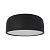 10201/350 Black Потолочный светильник LOFT IT Axel
