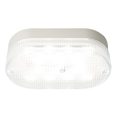 Светильник накладной светодиодный FERON Светодиодный светильник серии TR ЖКХ Овал 12Вт, 4000К, призма, IP53