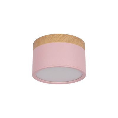 10162 Pink Накладной светильник LOFT IT Grape
