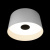 10360L White Потолочный светильник LOFT IT Duo