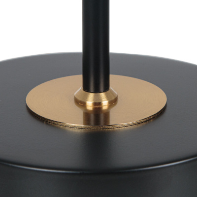 Декоративная настольная лампа Arte Lamp JAMIE