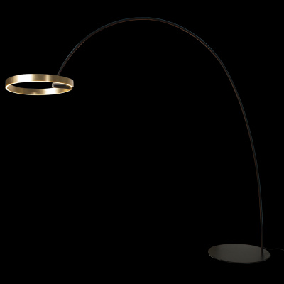 10027 Торшер LOFT IT Ring