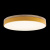 10001/36 Yellow Потолочный светильник LOFT IT Axel