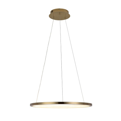 10014M Подвесной светильник LOFT IT Ring