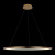 10014XL Подвесной светильник LOFT IT Ring