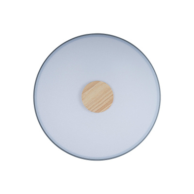 10003/24 Grey Потолочный светильник LOFT IT Axel