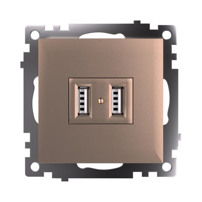 Розетка STEKKER GLS10-7115-02