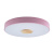 10003/24 Pink Потолочный светильник LOFT IT Axel
