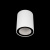 10344 White Накладной светильник LOFT IT Rush