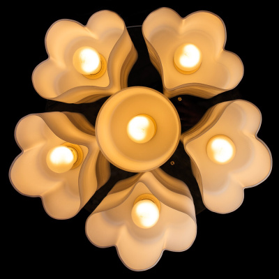 Потолочная люстра Arte Lamp CANZONE