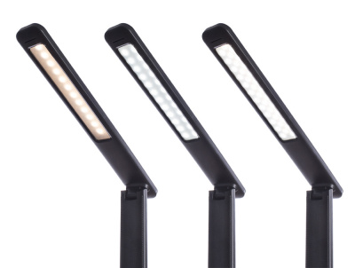 Офисная настольная лампа Arte Lamp COACH