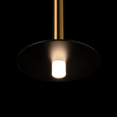 10358/830 Disk AB Подвесной светильник LOFT IT Reed