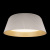 10224 White Потолочный светильник LOFT IT Evans