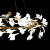 10124/10 Подвесная люстра LOFT IT Fleur