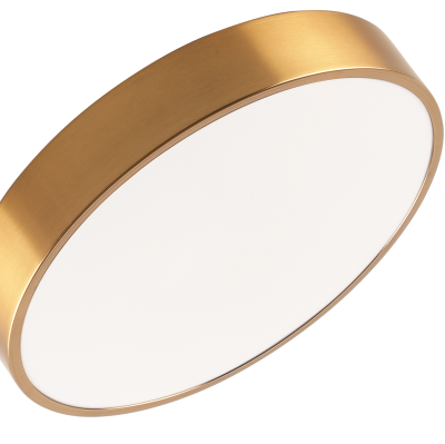 Потолочный светильник Zortes TORTTY ZRS.02566.48, Мощность - 48Вт, Тип лампы:  LED  SMD2835，Оптолинза RIO , В -50мм / Ш - ø400мм