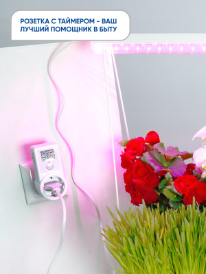 Розетка FERON TM61