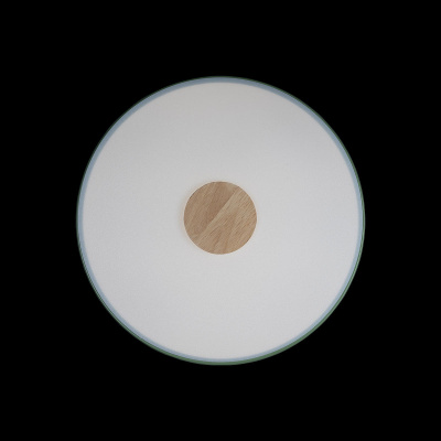 10003/24 Green Потолочный светильник LOFT IT Axel