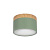 10162 Green Накладной светильник LOFT IT Grape