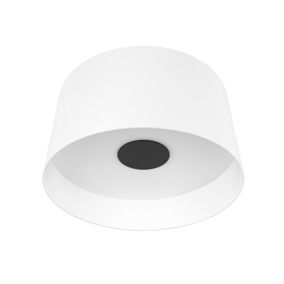 10360L White Потолочный светильник LOFT IT Duo