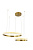 Светильник подвесной с пультом,    ZORTES   LIDIA  ZRS.30111.63 Мощность-63Вт Тип лампы: Встроенный LED от интернет магазина Elvan.ru