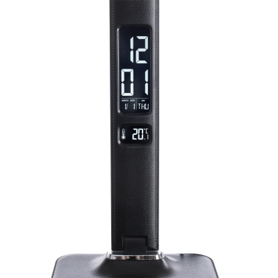 Офисная настольная лампа Arte Lamp COACH