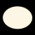 10226 Black Потолочный светильник LOFT IT Brim
