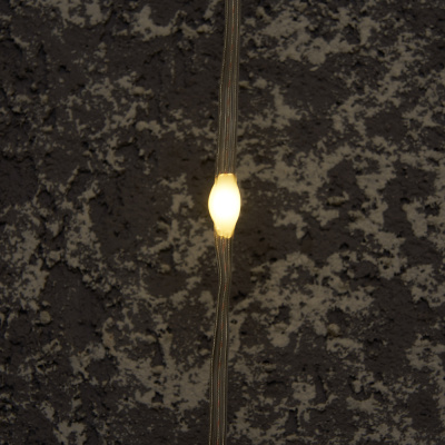 Гирлянда FERON CL28