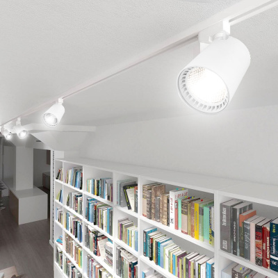 Светильник трековый на шинопровод FERON AL100