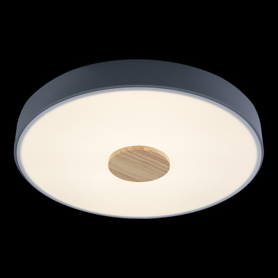 10003/24 Grey Потолочный светильник LOFT IT Axel