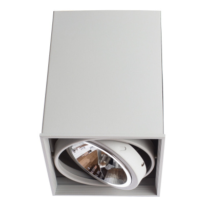 Точечный накладной светильник Arte Lamp CARDANI GRANDE