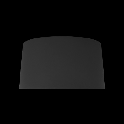 10360M Grey Потолочный светильник LOFT IT Duo