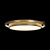 10170 Потолочный светильник LOFT IT Mike