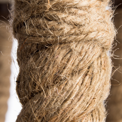 Подвесная люстра Arte Lamp CORDA