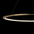 10014L Подвесной светильник LOFT IT Ring