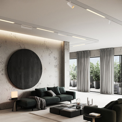 Светильник трековый на шинопровод FERON MGN300