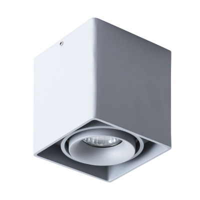 Точечный накладной светильник Arte Lamp PICTOR