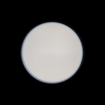 10002/12 Black Потолочный светильник LOFT IT Axel