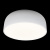 10201/480 White Потолочный светильник LOFT IT Axel