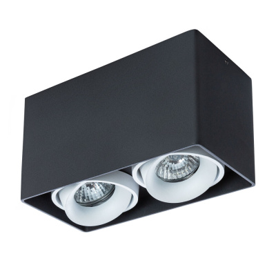 Точечный накладной светильник Arte Lamp PICTOR