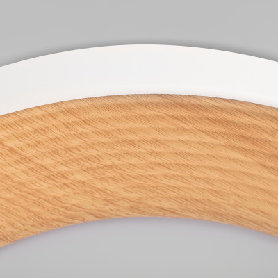 10255/500 White Потолочный светильник LOFT IT Folk