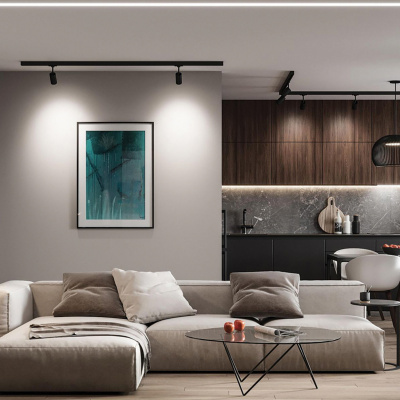 Светильник трековый на шинопровод FERON AL103