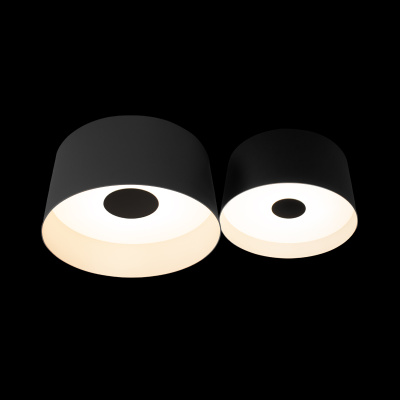 10360/2 Потолочный светильник LOFT IT Duo