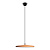 10119 Orange Подвесной светильник LOFT IT Plato