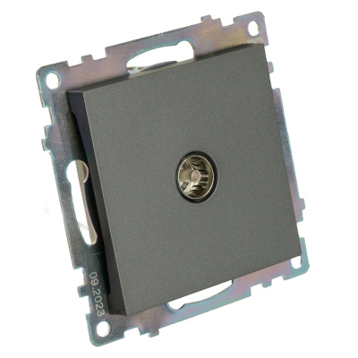 Розетка STEKKER GLS00-7108-06