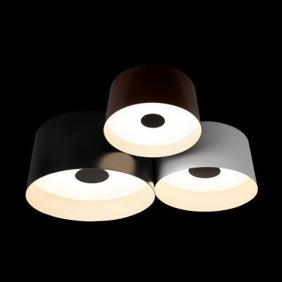 10360/3 Потолочный светильник LOFT IT Duo