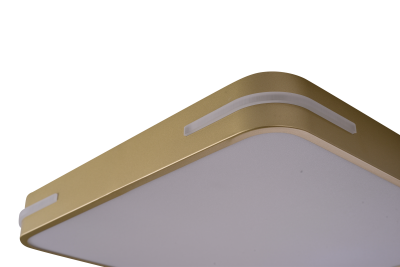 Потолочный светильник ZORTES GABBY ZRS.1215.03, Мощность - 48Вт, Тип лампы: LED, В -50мм / Ш - 400мм / Г - 400мм