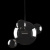 2029-P4 Подвесной светильник LOFT IT Bolle
