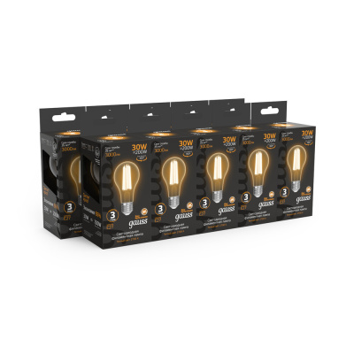 Светодиодная филаментная лампа Gauss FILAMENT A70 30W 3000Lm 2700K E27 102902130