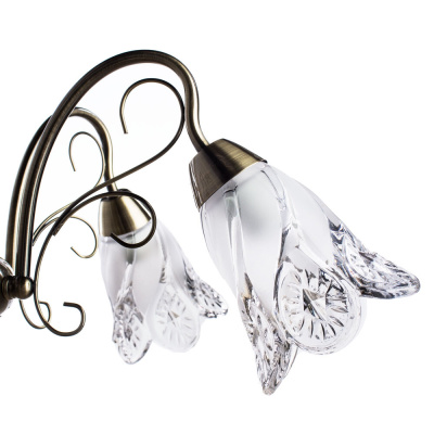 Подвесная люстра Arte Lamp FIORITA