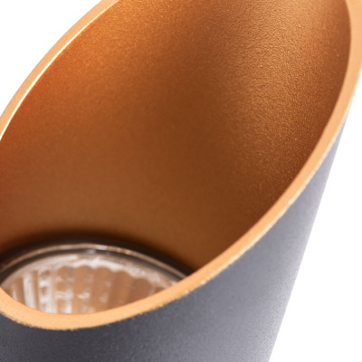 Точечный накладной светильник Arte Lamp PILON-GOLD